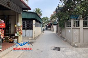 Thành phố Hà Nội: Gia Lâm sắp hoàn thiện đề án lên quận vào năm 2020