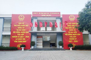 Quận Long Biên: Mở đấu giá 101 thửa đất tại phường Long Biên, giá khởi điểm chỉ từ 36 triệu đồng/m2