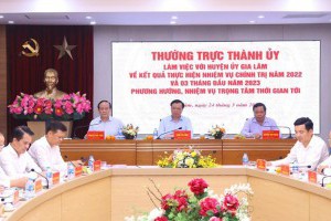 Hà Nội: Huyện Gia Lâm đã đủ tiêu chí để lên quận
