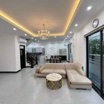 Chuyển công tác bán 150m2 căn song lập Anh Đào 08 - Đang cho thuê 45tr/tháng