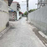 Chính chủ bán 40,3m2 đất xóm 1 xã Đông Dư, phường Bát Tràng. Đường thông xe ô tô vios 