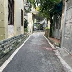 Cần bán 53,1m2 đất ngõ 161 Bát Khối. Đường xe moning, xung quanh đông dân, tiện ích đầy đủ
