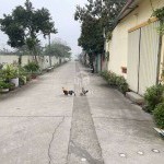 Cần bán 83,9m2 đất An Đào D. Trục đường quy hoạch mở rộng 30m (Hải Đăng 8 - Lý Thánh Tông)
