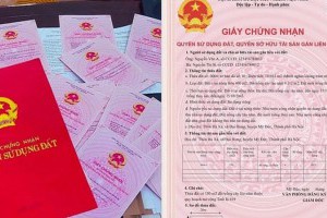 19 trường hợp được miễn lệ phí trước bạ nhà đất người dân cần biết
