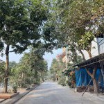 Chính chủ bán đất 80m2 TĐC Kiêu Kỵ, Gia Lâm. Đất vuông đẹp, cách Vin 123 Chỉ 1,5km