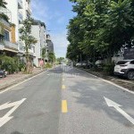 Bán Gấp Đất Lô Góc 30m2 TĐC Ngọc Thụy, Đường 15m, View Trường Học, Sổ Đỏ Sẵn