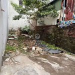 Cần bán 49,2m2 đất vuông đẹp trong ngõ 76 Hoa Lâm. Cách 10m ra đường thông ô tô Cần bán 49,2m2 đất vuông đẹp trong ngõ 76 Hoa Lâm. Cách 10m ra đường thông ô tô