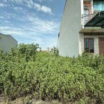 HOT! 80m2 Đất TĐC Ngọc Động, View Vườn Hoa. Cạnh đại dự án Vin Safari, đường rộng 12m, vỉa hè