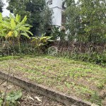 Cần bán 62,9m2 đất Giao Tất A, Xã Thuận An. Đường rộng 2,5m, đang được trải nhựa sạch sẽ