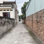 Cần bán 91,6m2 đất thôn Giao Tự, Thuận An (Kim Sơn cũ). Cách 30m ra đường thông ô tô