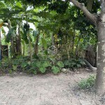 Bán Đất TĐC Kim Sơn - Thuận An 80m2: Gần QL17, Chợ Keo, Trường Học & UBND, Tiện Ở & Kinh Doanh