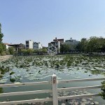 Cần bán 35m2 đất view hồ sen thoáng mát ngõ 303 Phúc Lợi. Đường ô tô tránh, gần chợ