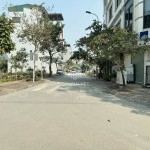 Chuyển đổi vào Vin ở, bán gấp giá tốt cho nhà đầu tư: 98m2 đất TĐC Trâu Quỳ, Gia Lâm