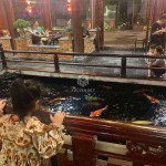 Bán đất KĐT 31ha Trâu Quỳ 260m2 - Mặt tiền 13m - Sẵn quán Cafe Gỗ Quý kinh doanh tốt