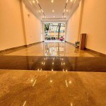 Bán Nhà Phố Hoa Lâm, Việt Hưng – 55,5m2 Nở Hậu – 7 Tầng Kinh Doanh Văn Phòng – Thang Máy 630kg – Sổ Đỏ Chính Chủ