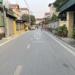 Bán đất mặt đường Ngọc Động 62,9m2, mặt tiền 4,1m, kinh doanh tốt, sát Vinhomes Ocean Park